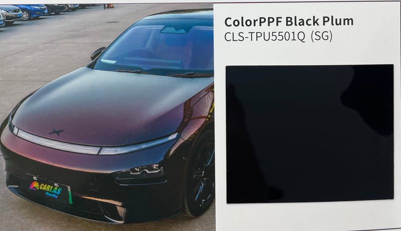 Emballage PPF Prune noire sèche CLS-TPU5501Q(SG)