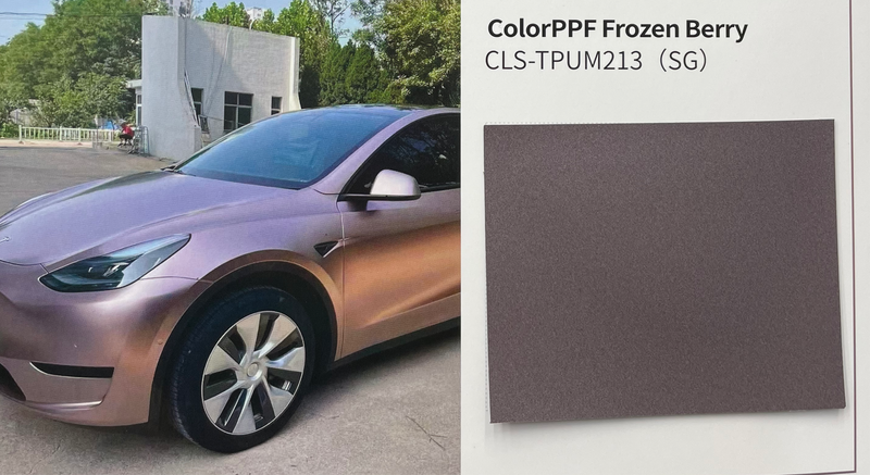 PPF Dry Frozen Berry CLS-TPUM213(SG) Wrapping Opaco